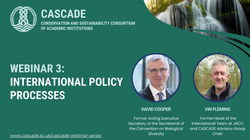 cascade webinar international policy processes